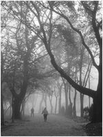 без име ( ID=2568510 ); Коментари:4