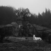 без име ( ID=2568541 ); Коментари:5