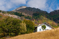 Малката 'Русалка' и Големия Кадемлия; Коментари:7