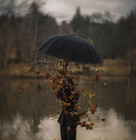 без име ( ID=2568577 ); Коментари:7