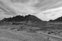 без име ( ID=2568593 ); Коментари:5