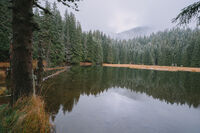 Когато есента посрещне зимата; Няма коментари