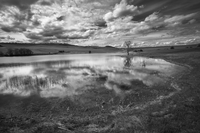 no name ( ID=2568643 ); comments:9