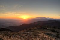 no name ( ID=2568705 ); comments:5