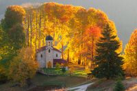 без име ( ID=2568719 ); Коментари:7