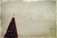 без име ( ID=2568734 ); Няма коментари