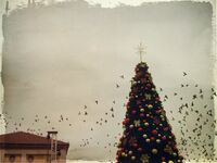 no name ( ID=2568738 ); No comments