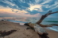 без име ( ID=2568743 ); Няма коментари