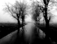 без име ( ID=2568747 ); Коментари:2