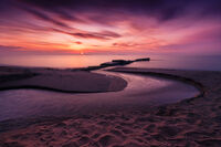 2025-01-31; Няма коментари