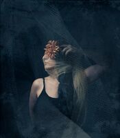 без име ( ID=2568787 ); Коментари:2