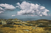 no name ( ID=2568813 ); comments:1