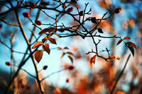 no name ( ID=2568820 ); comments:2