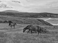 no name ( ID=2568835 ); comments:1