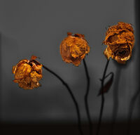 no name ( ID=2568837 ); comments:3