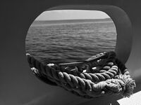 no name ( ID=2568870 ); comments:4