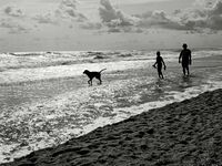 Синьо лято... в бяло и черно; comments:2