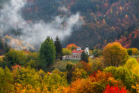 без име ( ID=2568900 ); Коментари:3