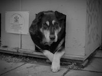 Поглед; comments:2