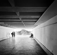 no name ( ID=2568919 ); comments:4