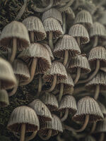 Тук сме; comments:4