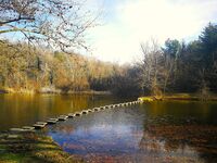 без име ( ID=2568934 ); Няма коментари