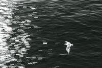 Гларус; No comments