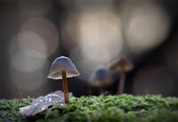 no name ( ID=2568976 ); comments:4