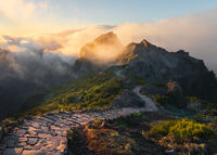 без име ( ID=2568996 ); Коментари:3