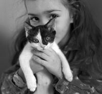 no name ( ID=2569013 ); comments:1