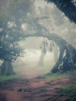 no name ( ID=2569020 ); comments:1