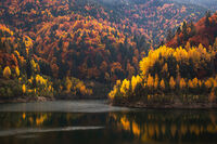 без име ( ID=2569029 ); Коментари:3