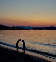 no name ( ID=2569036 ); comments:1