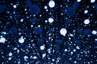 без име ( ID=2569042 ); Няма коментари