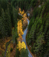 без име ( ID=2569052 ); Коментари:1