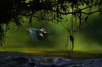 no name ( ID=2569053 ); No comments