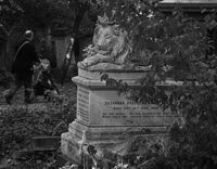 Abney Park Cemetery V; Коментари:3