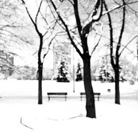 зимна приказка; No comments