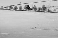 Пътища; Коментари:4