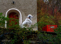 На пост; comments:2