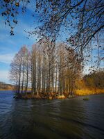 без име ( ID=2569105 ); Няма коментари