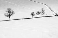 Посоки; Коментари:2