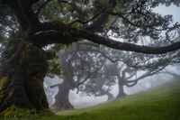 no name ( ID=2569131 ); No comments