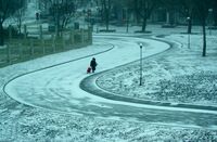 no name ( ID=2569134 ); comments:2