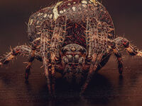 Фродо къде си ?; comments:6