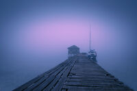 без име ( ID=2569169 ); Коментари:6