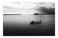 без име ( ID=2569172 ); Коментари:3