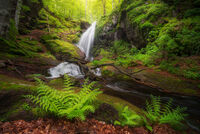 без име ( ID=2569192 ); Коментари:4