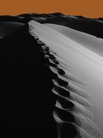 Walking to the Sunset; comments:5