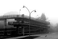 без име ( ID=2569224 ); Коментари:3